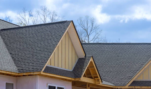 Best Roof Maintenance and Cleaning  in Belton, TX